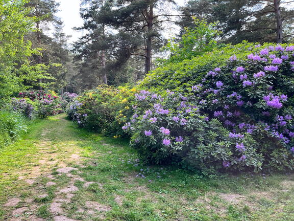 23-06-03 16-44-12 5794